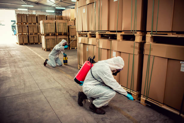 Best Cockroach Control Services  in Nesconset, NY