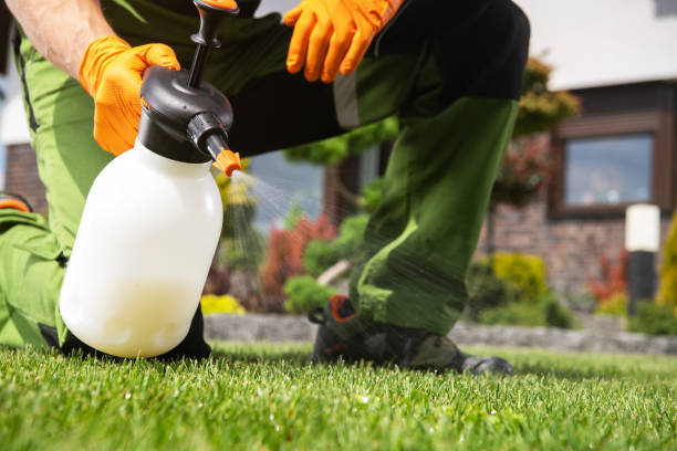 Best Termite Control Services  in Nesconset, NY