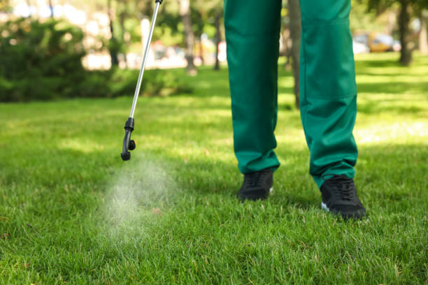 Best Best Pest Control Companies  in Nesconset, NY
