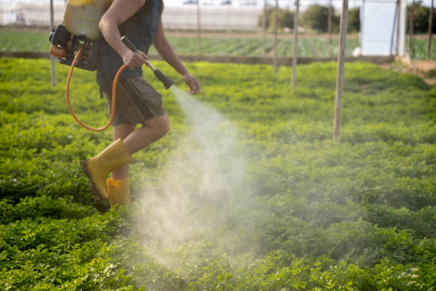 Best Affordable Pest Control Services  in Nesconset, NY