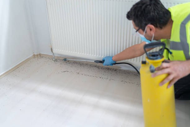 Professional Pest Control in Nesconset, NY