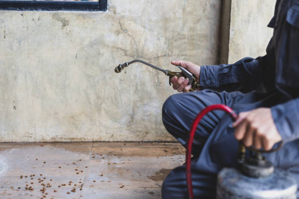 Best Wasp Removal Services  in Nesconset, NY